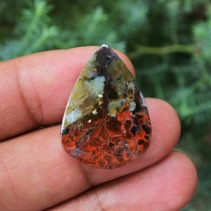 Plume Multicolor Opalized Petrified Wood