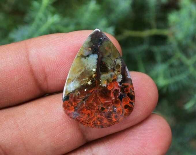 Plume Multicolor Opalized Petrified Wood