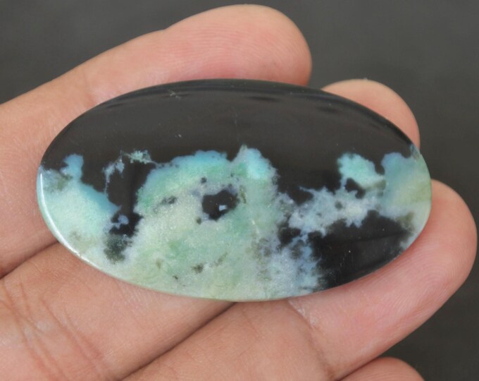 Opalized Petrified wood