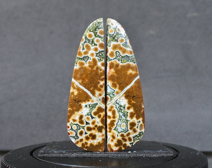 Multicolor Ocean Jasper Earring Pair