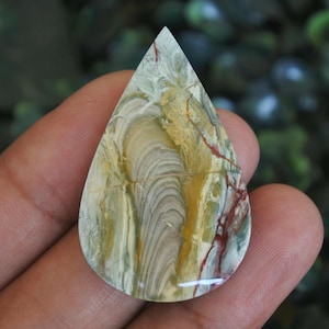 Puede incluir: Un cabujón de piedra preciosa pulida en forma de lágrima con un patrón complejo de bandas arremolinadas en beige, verde salvia y amarillo mostaza, acentuado por finas vetas minerales de color rojo oscuro en la superficie lisa y brillante.