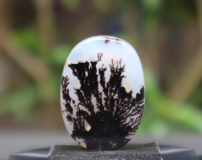 Dendritic agate