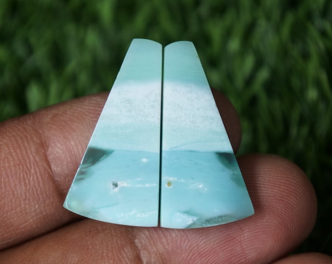Blue Opalized wood Earring Pair