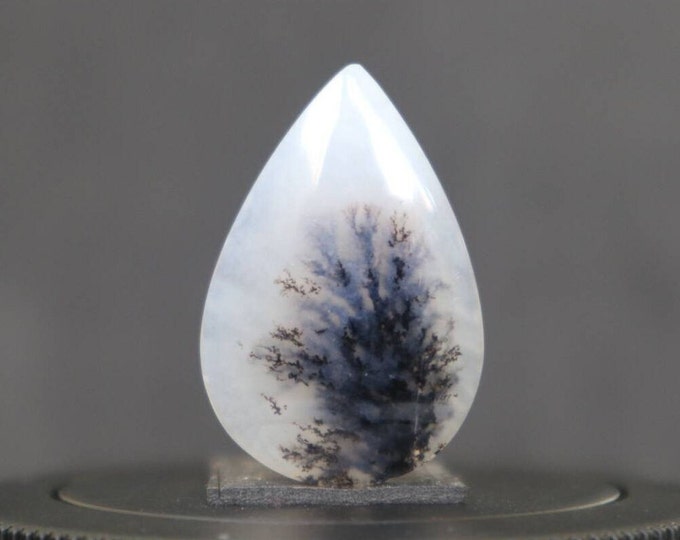 Dendritic agate
