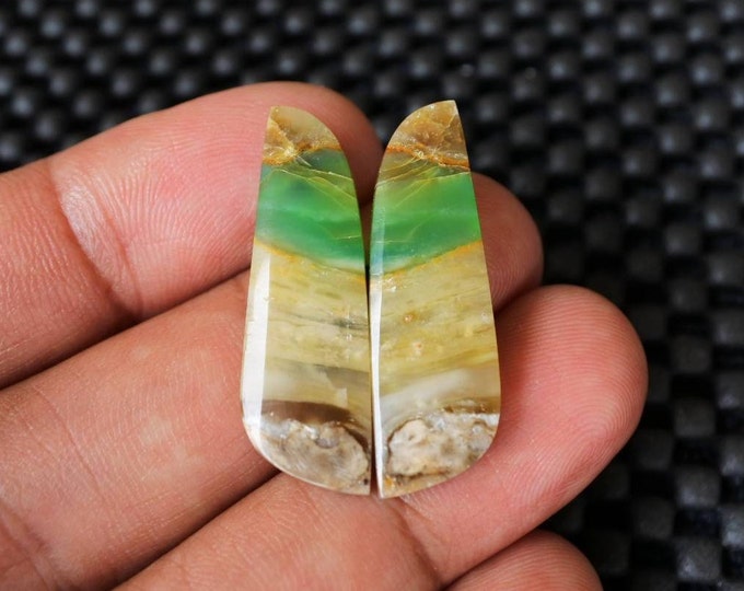 Blue Opalized wood Earring Pair