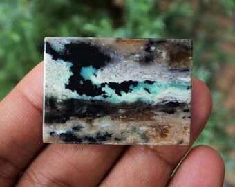 Opalisiertes versteinertes Holz