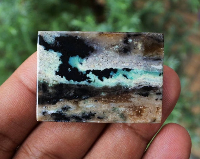 Opalized Petrified Wood