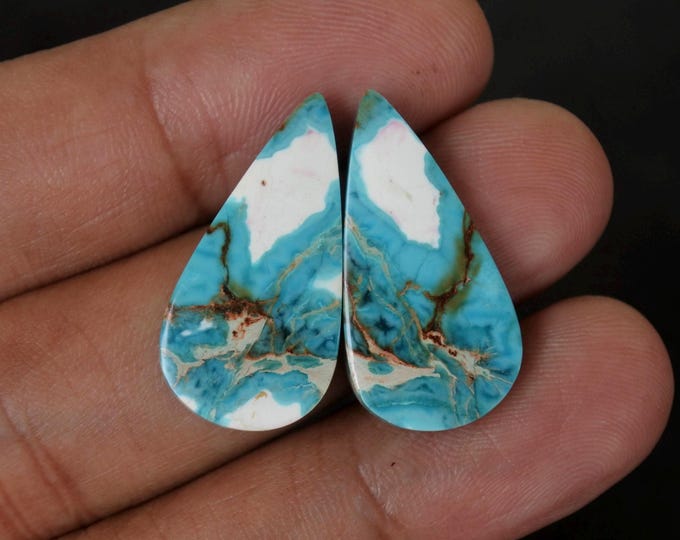 Sea Sedimen Turquoise Earring Pair
