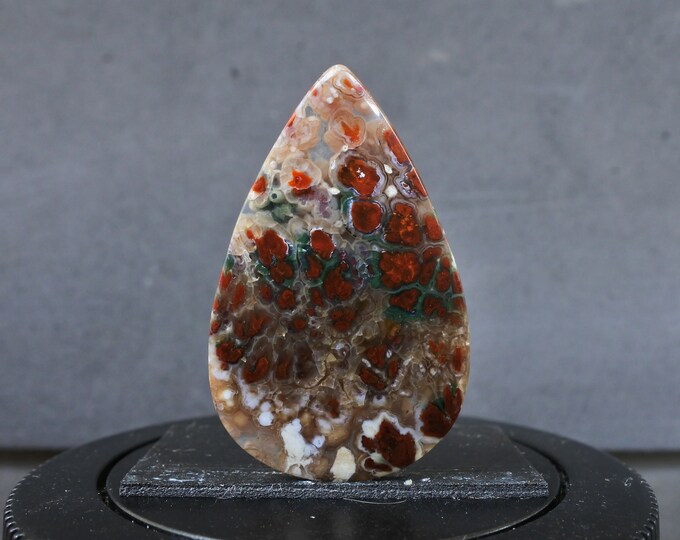 Plume Multicolor Opalized Petrified Wood