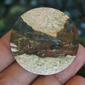 May include: A circular polished stone cabochon featuring a natural pattern of mottled beige, deep forest green, and dark reddish-brown mineral veins. The surface is smooth and flat, displaying a distinct landscape-like geological formation.
