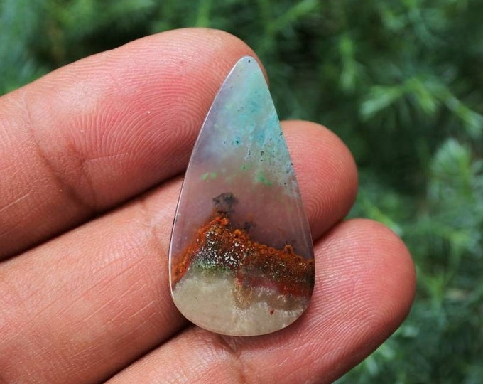 Blue Opalized Petrified Wood