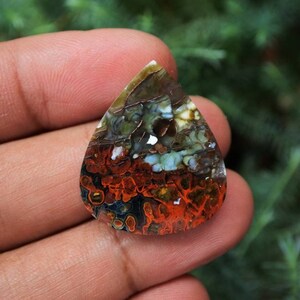 Plume Multicolor Opalized Petrified Wood