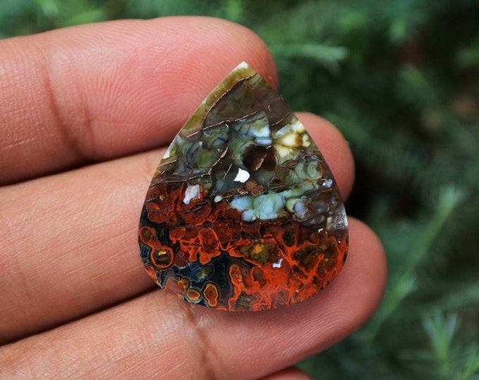 Plume Multicolor Opalized Petrified Wood