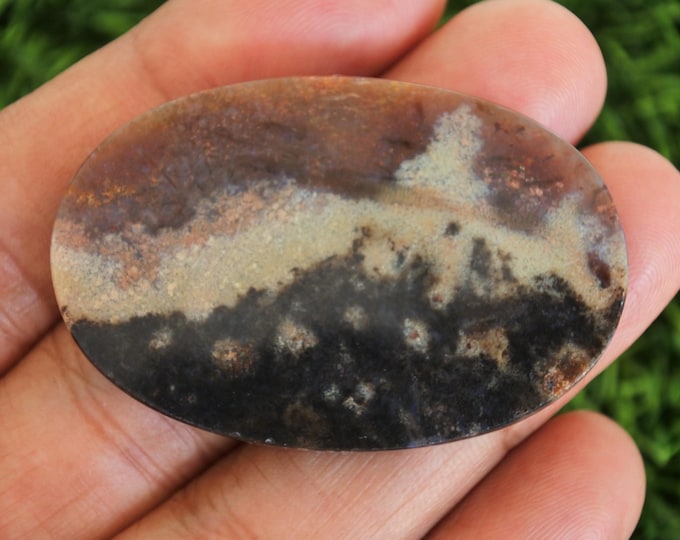 Opalized Petrified Wood