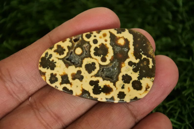 May include: A polished, teardrop-shaped gemstone with a unique pattern. The stone features a cream-colored base with dark brown, flower-like patterns. The gemstone is held in a hand, showcasing its natural beauty and intricate design.