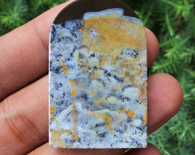 Multicolor Opalized wood