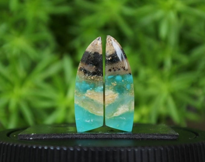Blue Opalized Wood Earring Pair