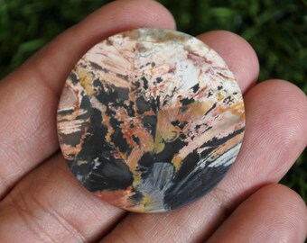 Multicolour Palmwood Gemstone,Petrified Wood