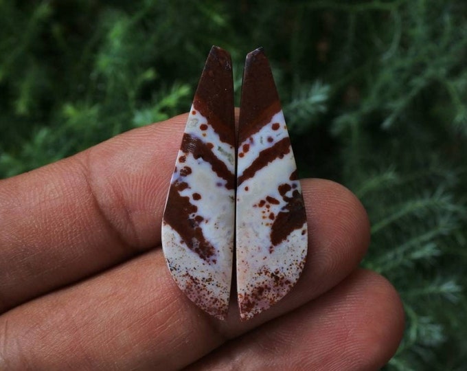 Multicolor Ocean Jasper Earring Pair