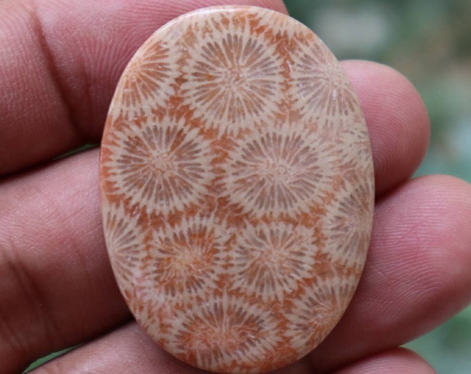 Coral agate,Agate rock,Agate stone, Malachite Gemstone,Agate crystal meaning,Larima gemstone,Flower agate,Tree agate,Fire agate