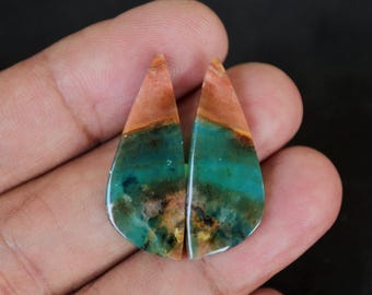 Opalized Wood Earrings