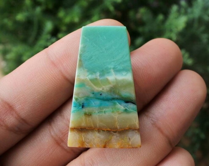 Scenic Blue Opalized Wood