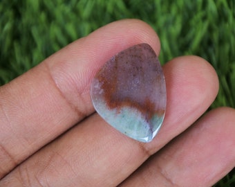 Multicolor Opalized Petrified Wood