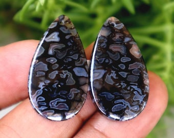 Fossilized Black Palmwood Earring Pair