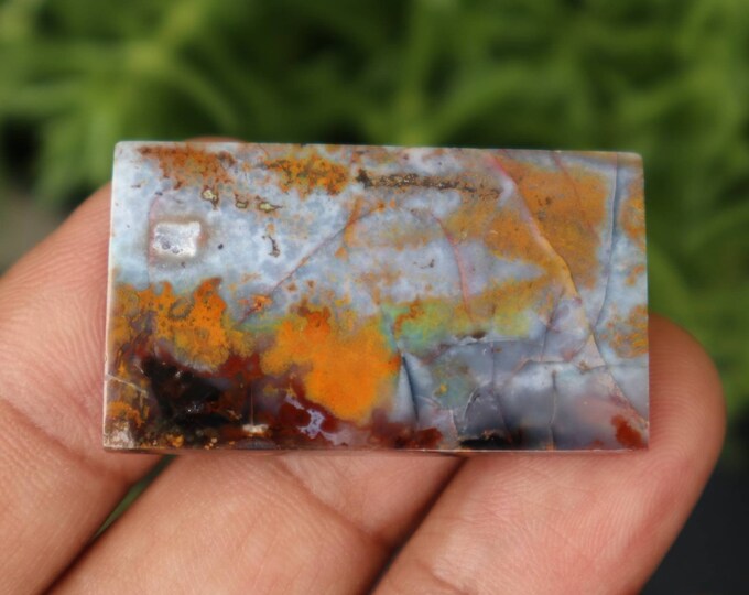 Multicolor Opalized wood