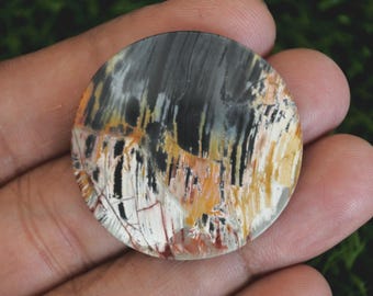 Multicolour Palmwood Cabochon (35mm x 3mm)