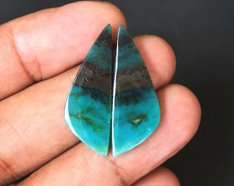 Opalized Wood Earrings