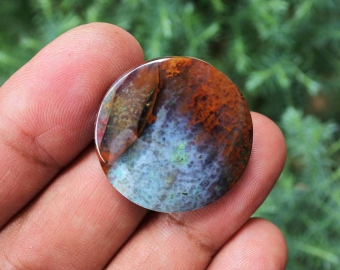Scenic Blue Opalized Petrified Wood