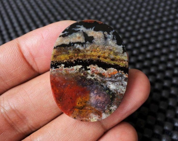 Scenic Opalized Petrified Wood