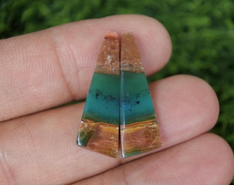 Opalized Wood Earrings