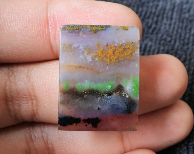 Multicolor Opalized wood