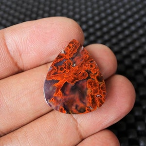 Plume Multicolor Opalized Petrified Wood