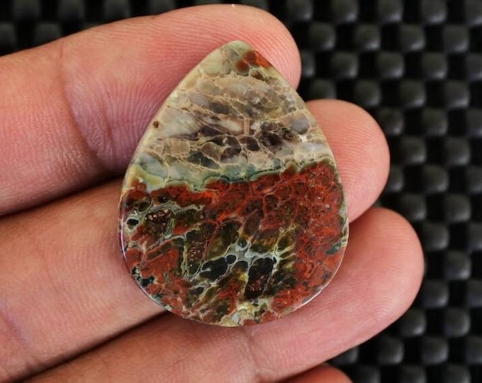 Plume Multicolor Opalized Petrified Wood