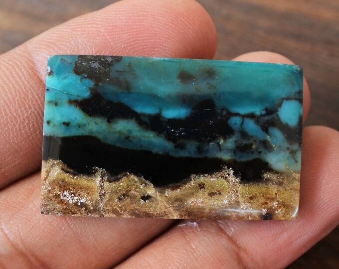 Blue Opalized petrified wood