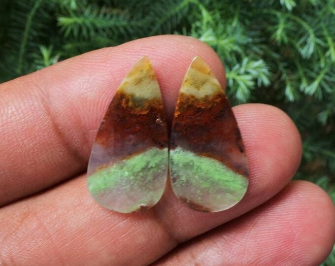 Multicolor Opalized Petrified Wood Earring Pair