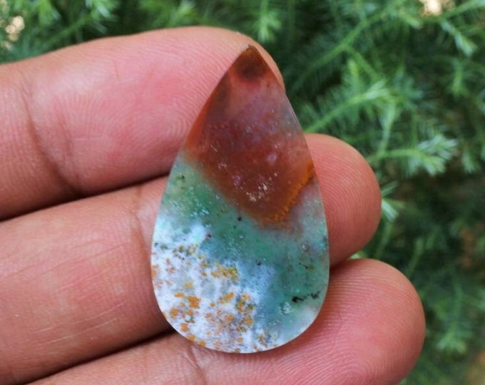 Multicolor Opalized Petrified Wood