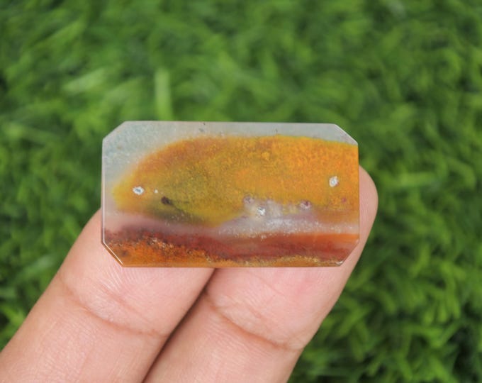 Multicolor Opalized Wood