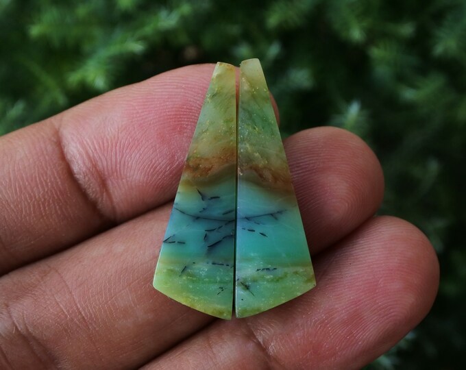 Blue Opalized Wood Earring Pair