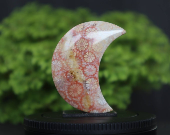 Crescent coral agate