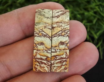 Polycrhome Jasper Earring Pair