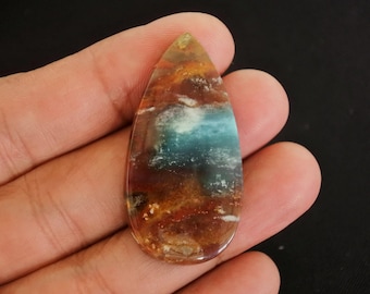 Opalized Petrified Wood