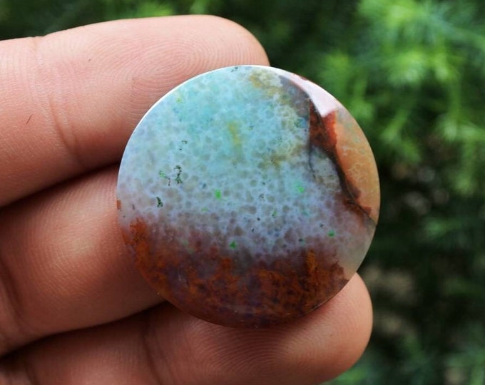 Blue Opalized petrified wood