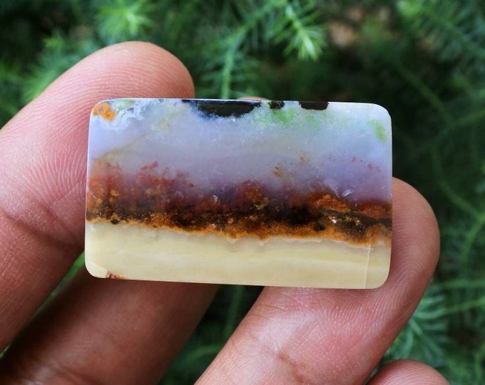 Scenic Multicolor Opalized Petrified wood