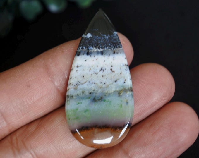 Opalized Petrified wood