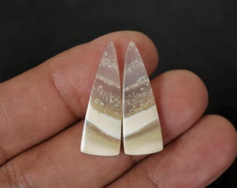 Par de Brincos de Madeira Petrificada Opalizada