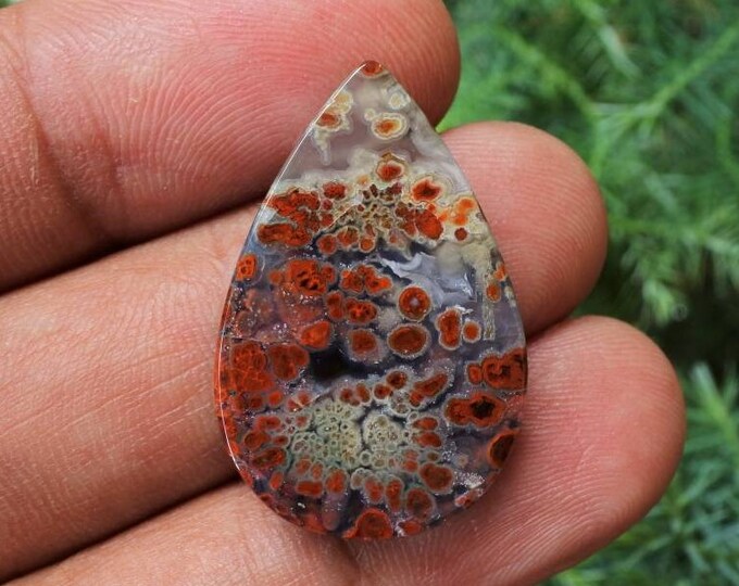 Plume Multicolor Opalized Petrified Wood
